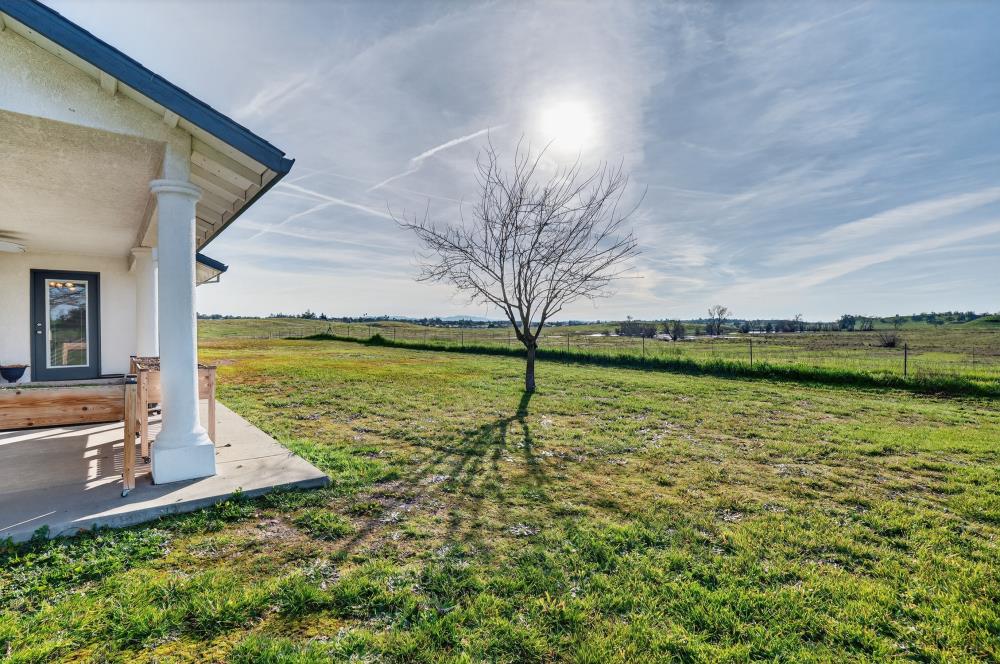 2410 Grapevine Gulch Road