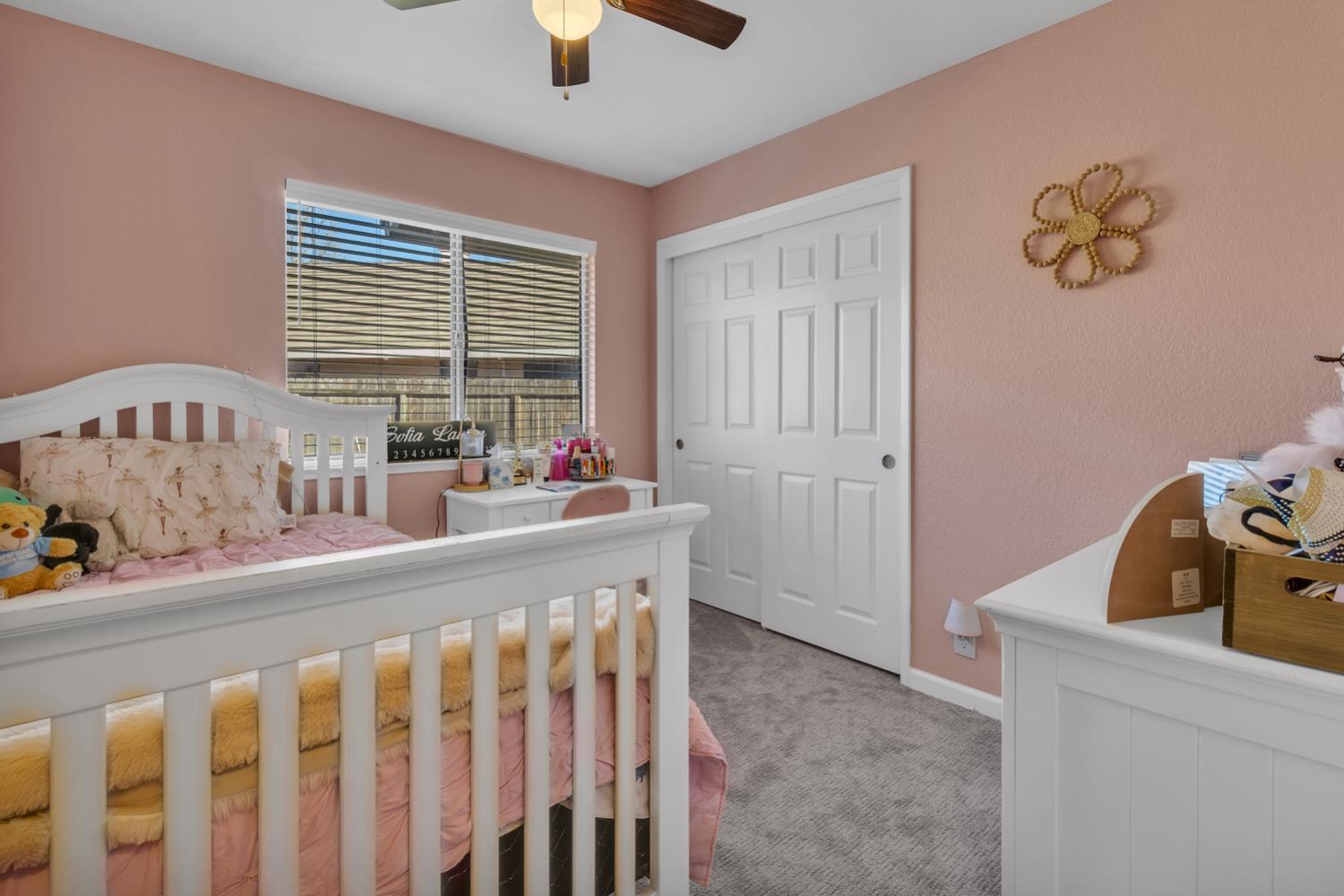 846 Cedar Canyon Circle
