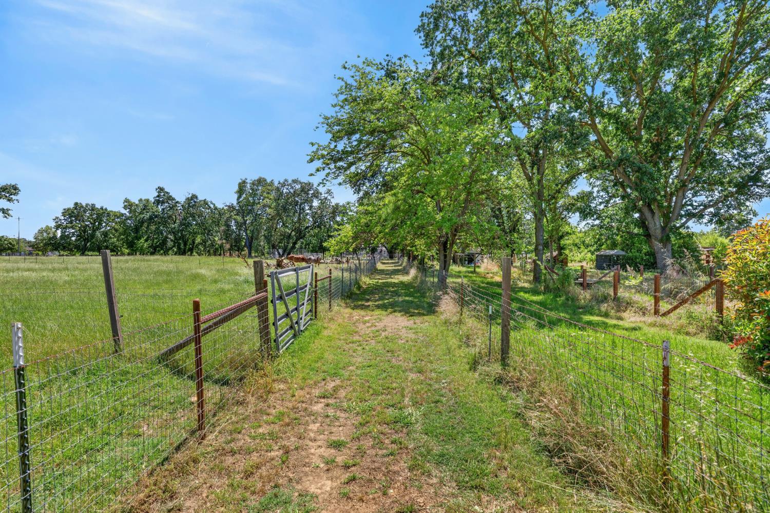 13088 Cherry Road