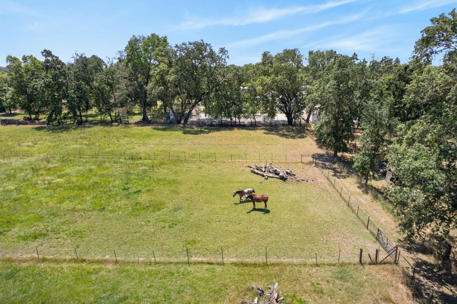 13088 Cherry Road