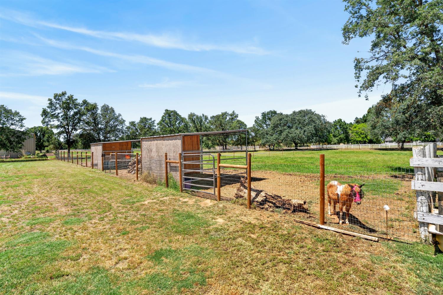 13088 Cherry Road