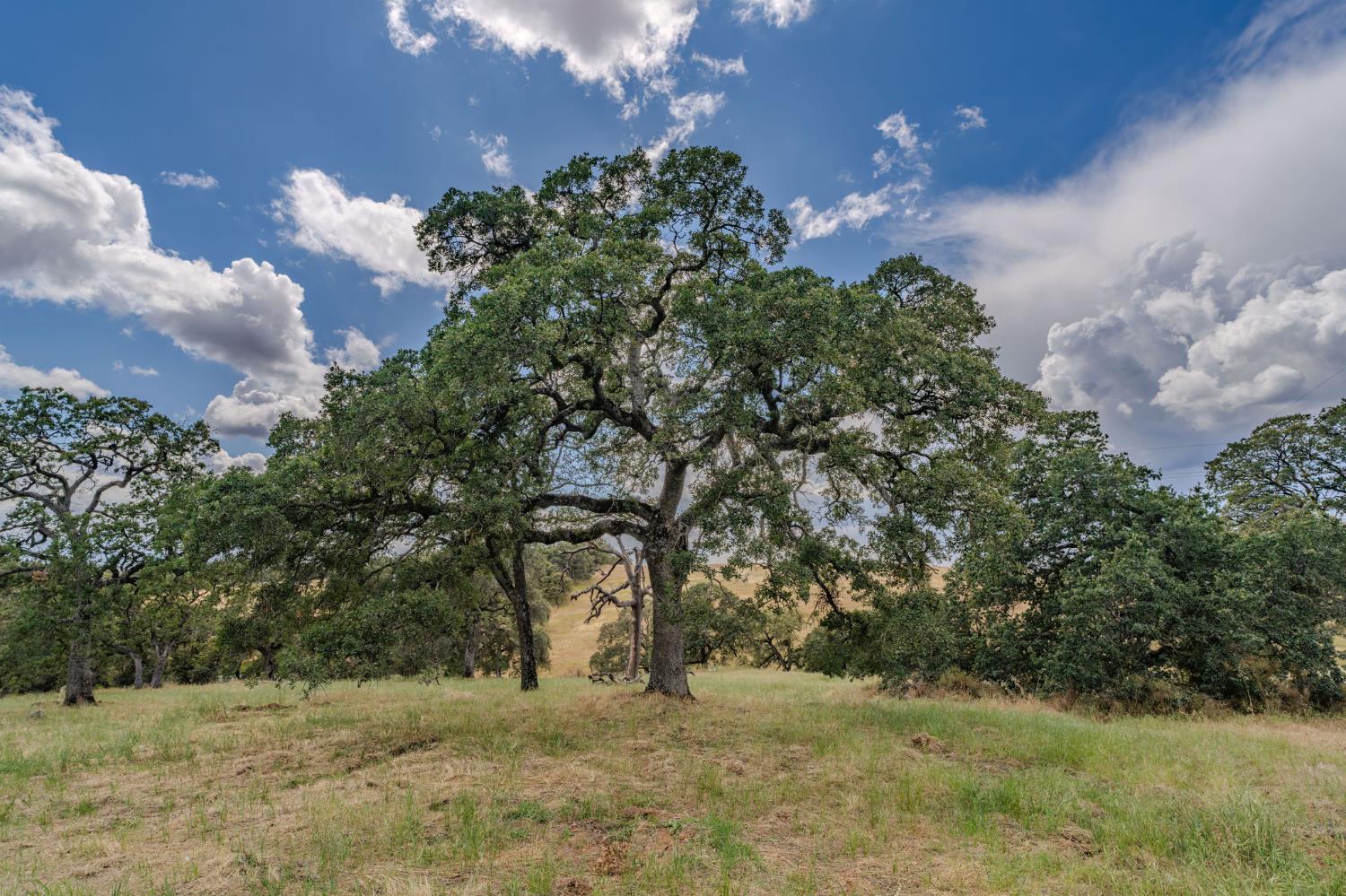 6321 Goodell Road