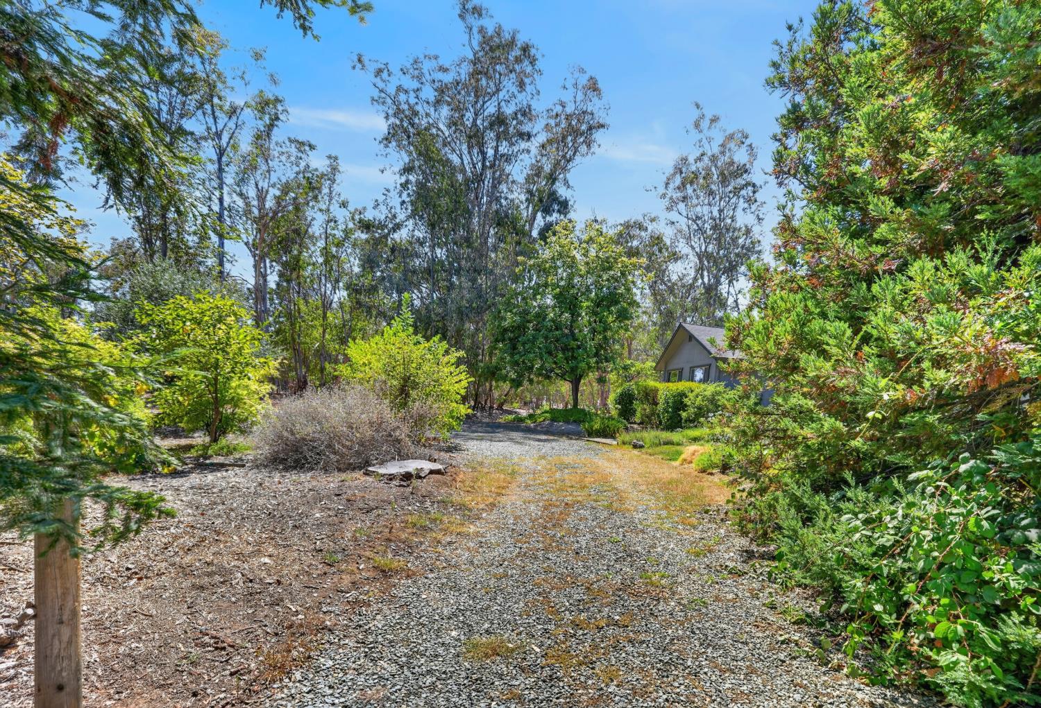 13491 Borden Road