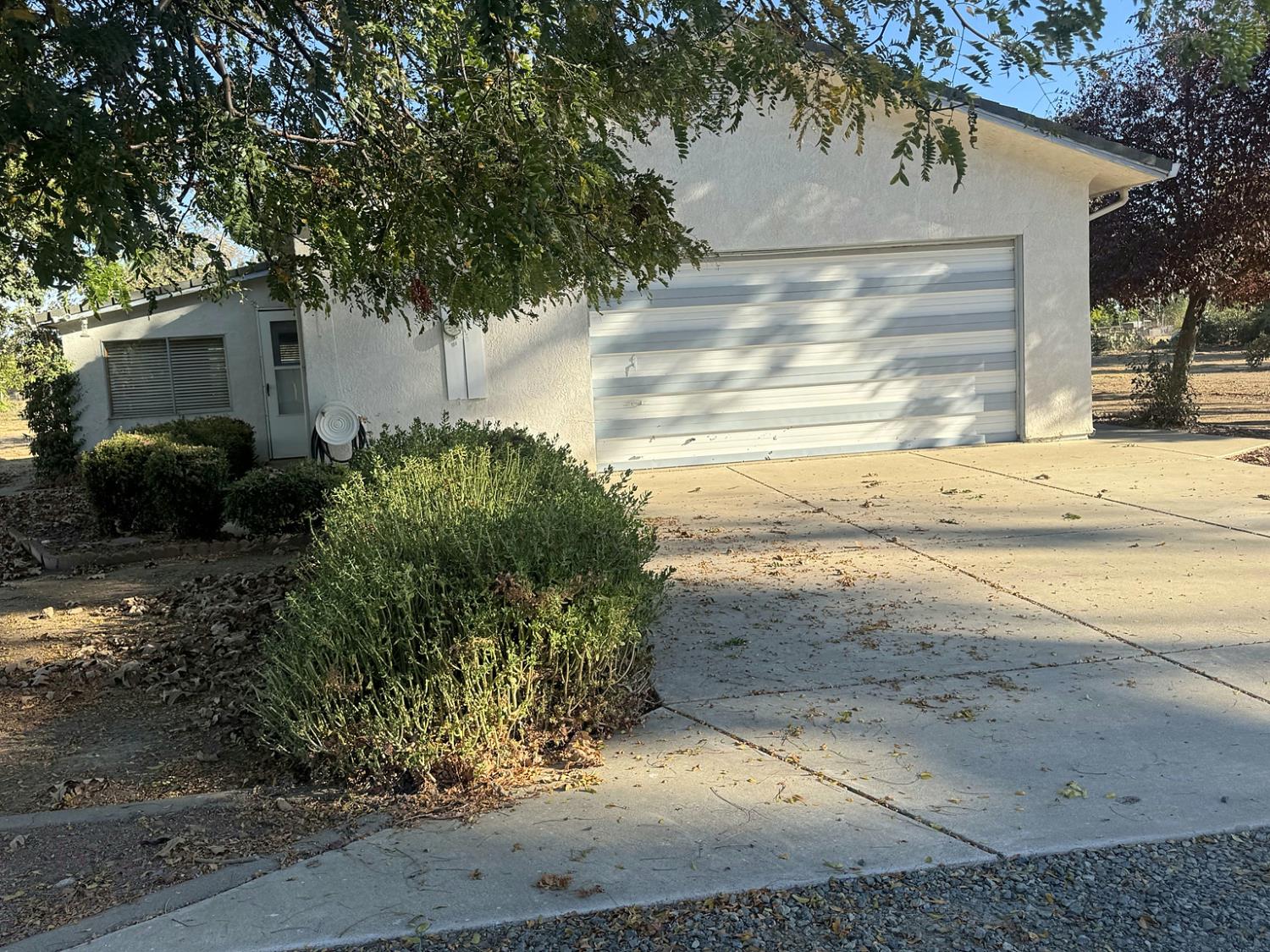 13536 Mcfarland Street