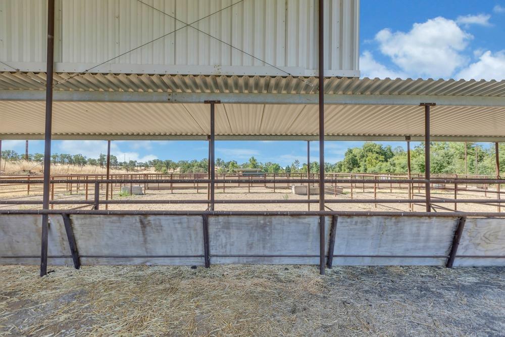 23303 E Buena Vista Road