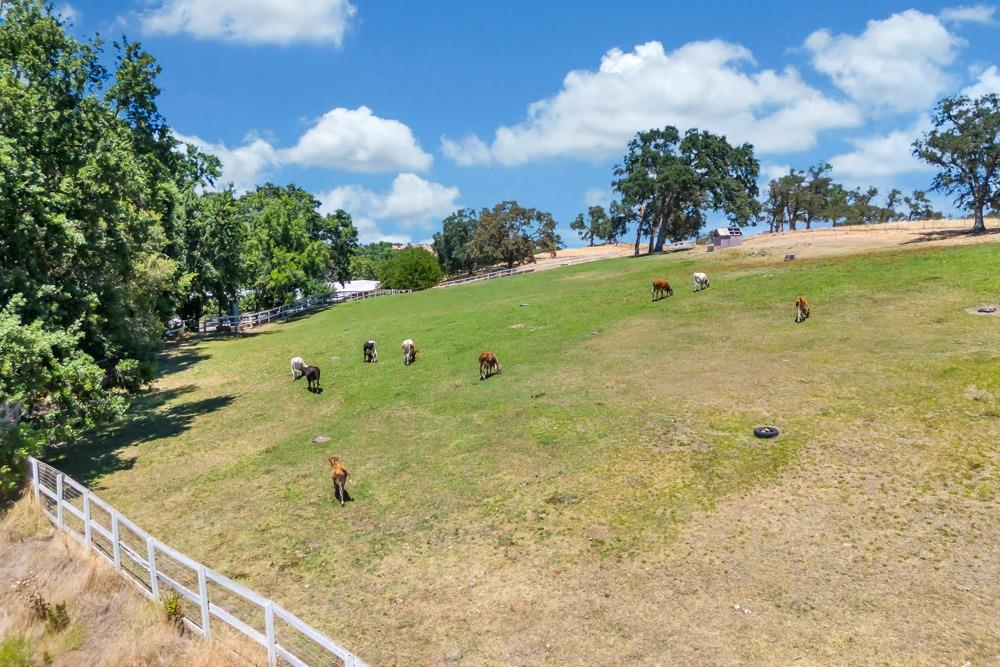 23303 E Buena Vista Road