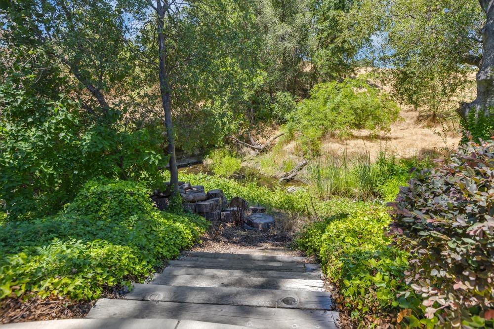 23303 E Buena Vista Road