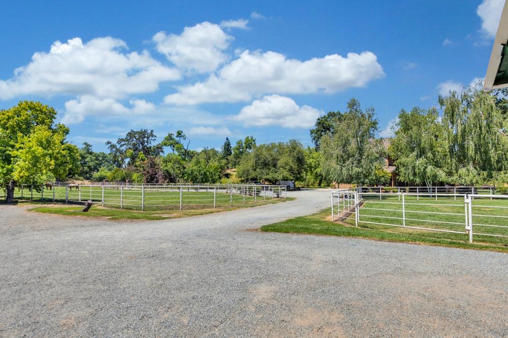 23303 E Buena Vista Road