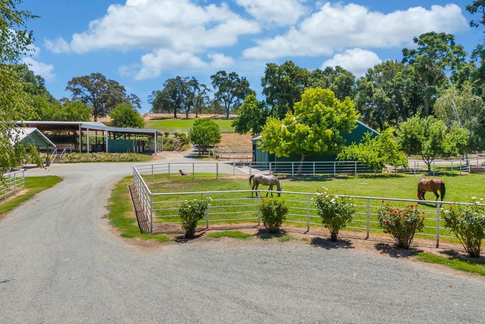 23303 E Buena Vista Road