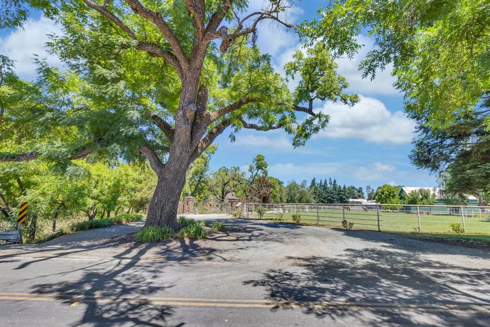 23303 E Buena Vista Road