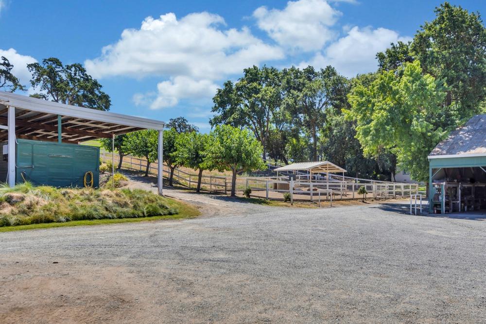 23303 E Buena Vista Road