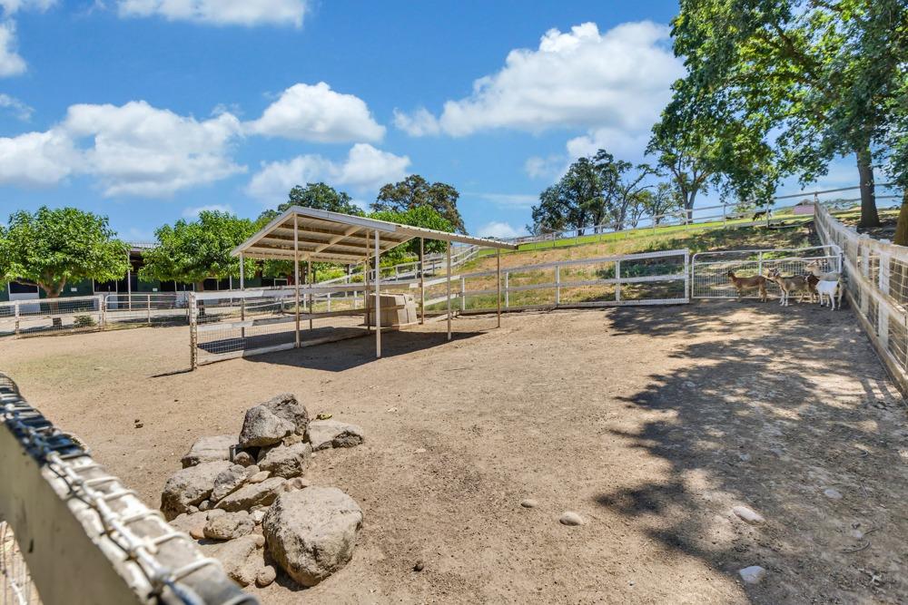 23303 E Buena Vista Road