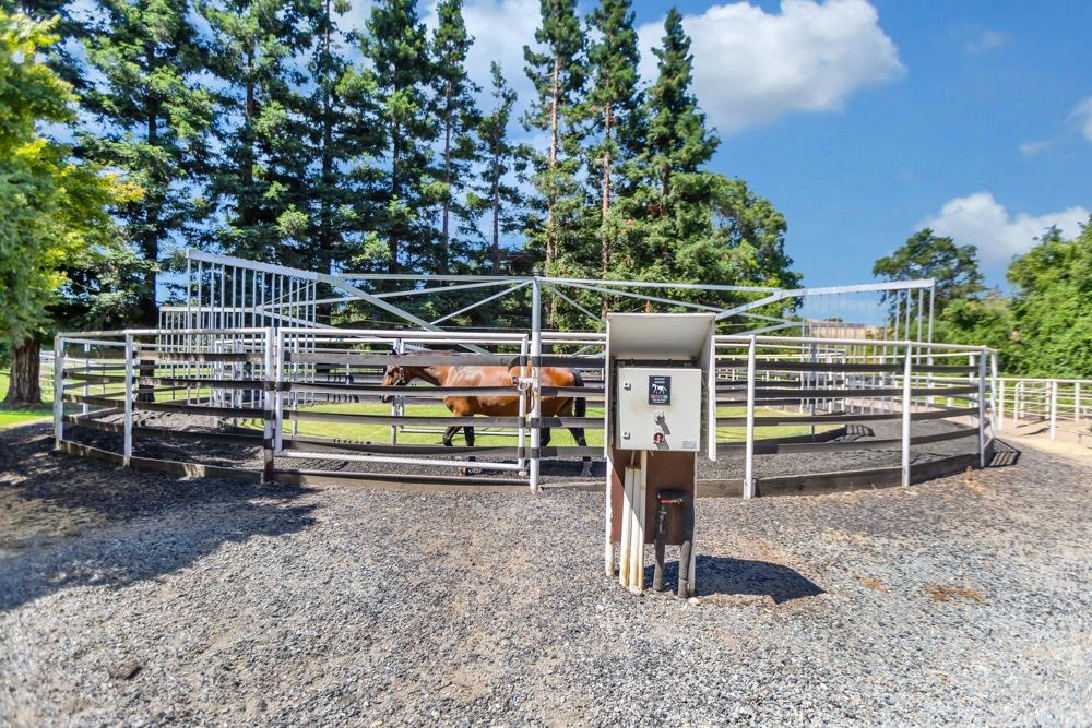 23303 E Buena Vista Road