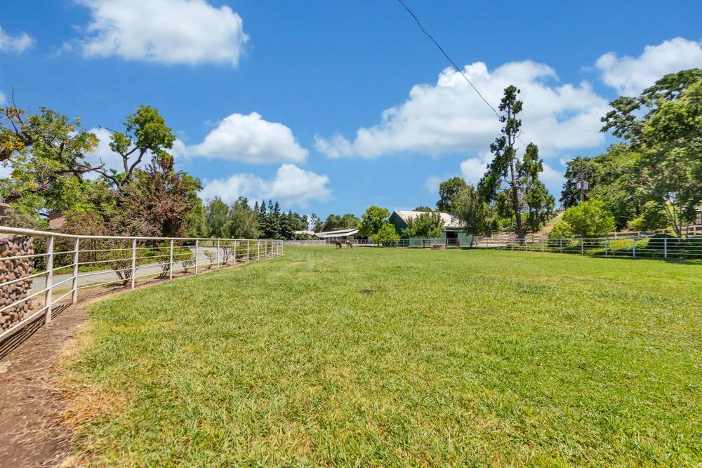 23303 E Buena Vista Road