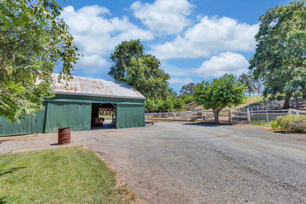 23303 E Buena Vista Road