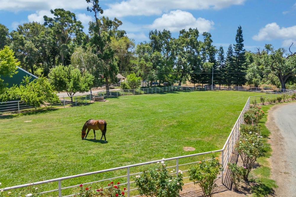 23303 E Buena Vista Road