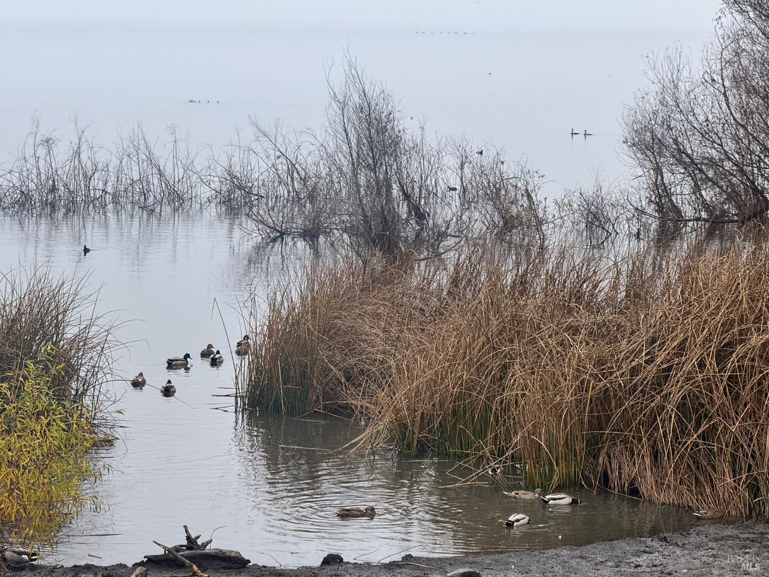 12332 Mountain View Drive