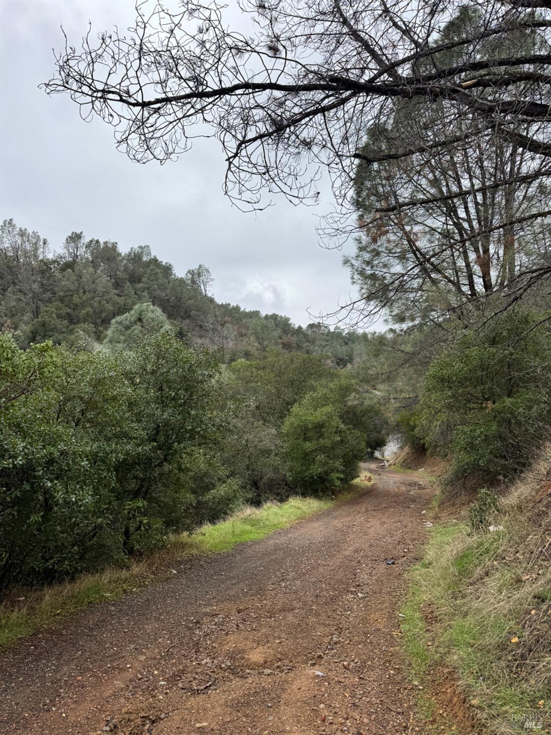 12332 Mountain View Drive