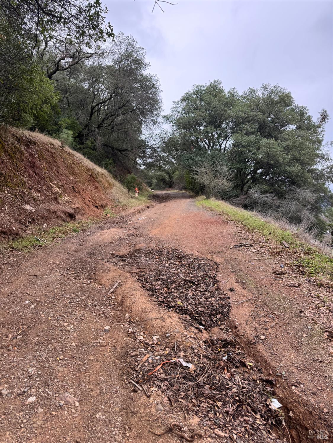 12332 Mountain View Drive