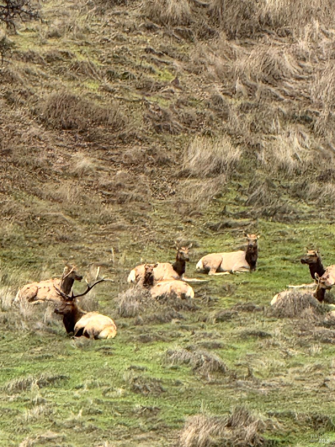 12332 Mountain View Drive