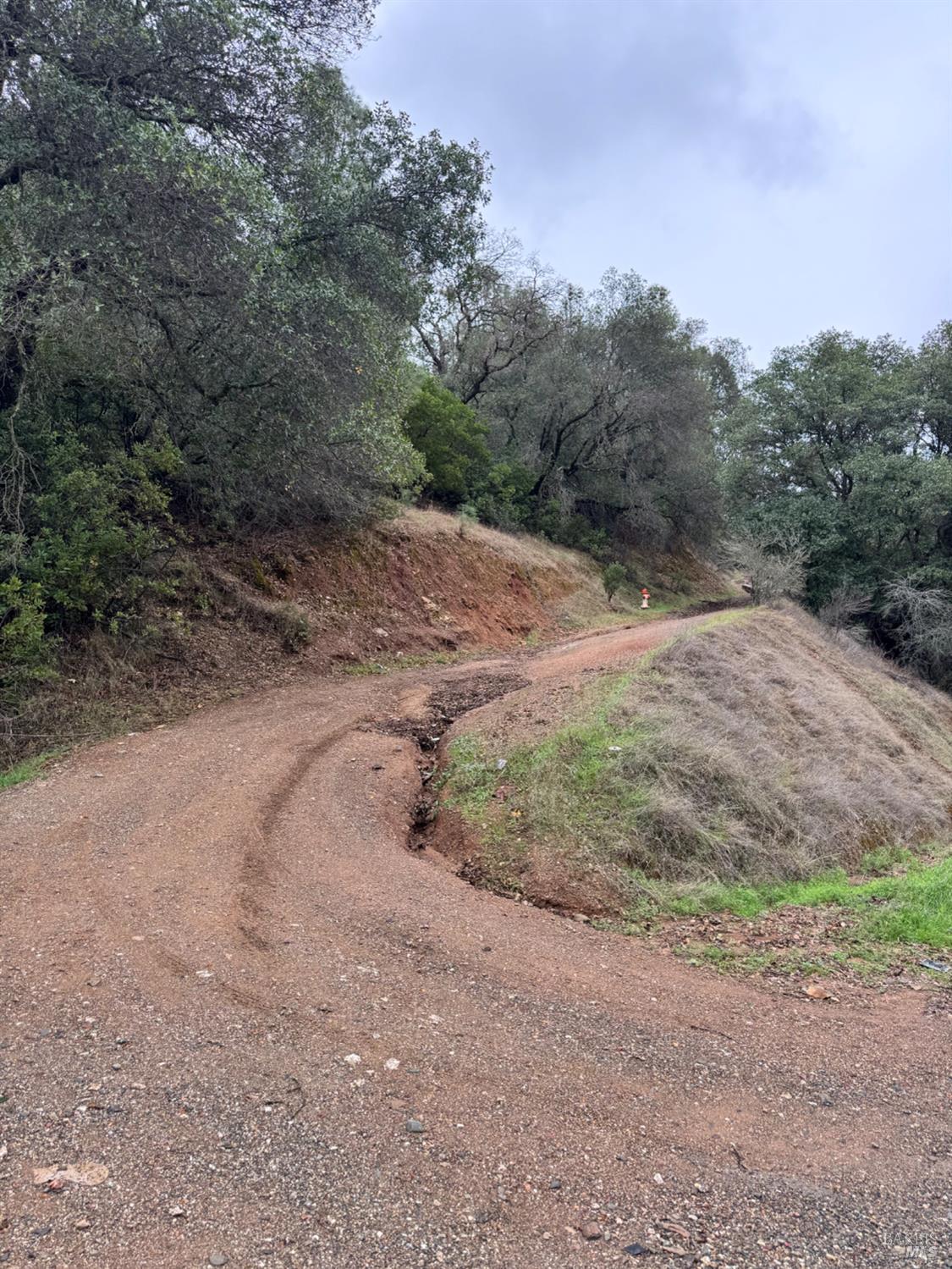 12332 Mountain View Drive