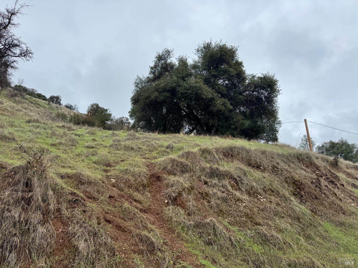 12332 Mountain View Drive