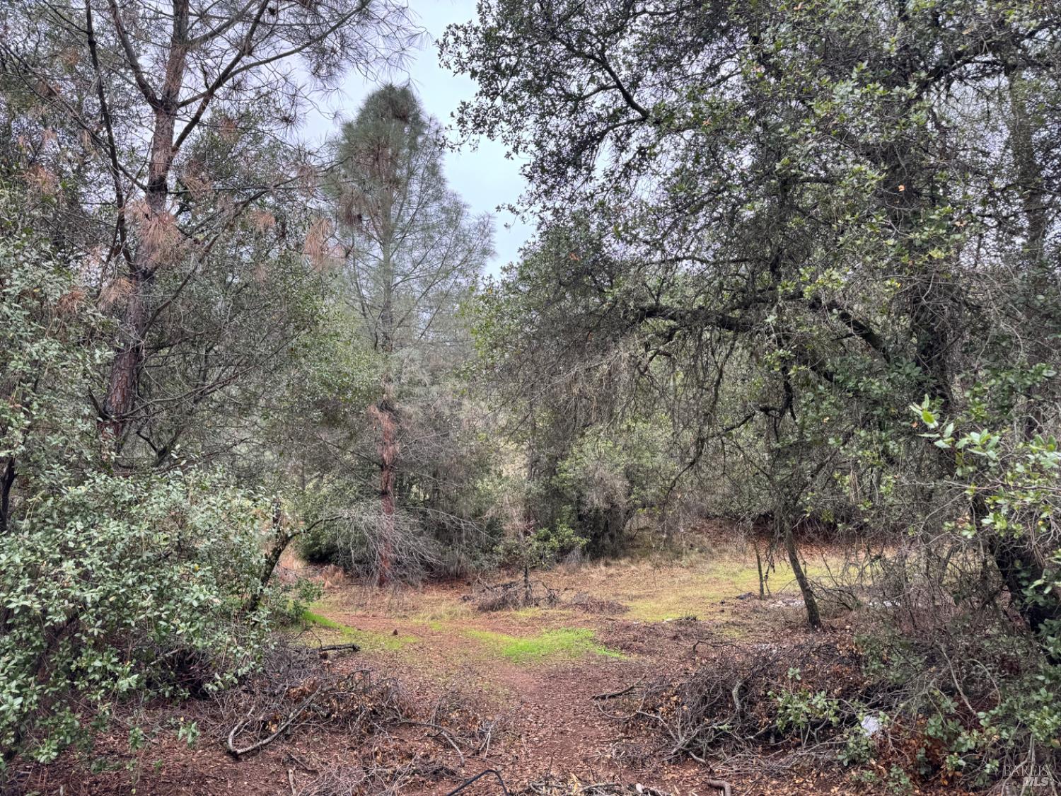 12336 Mountain View Drive