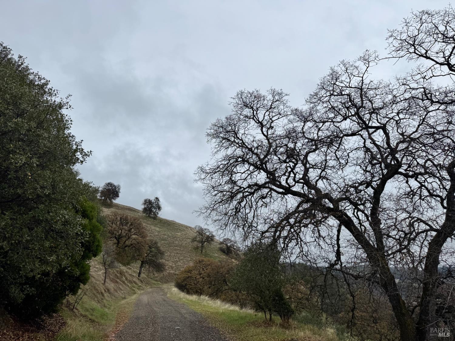 12336 Mountain View Drive