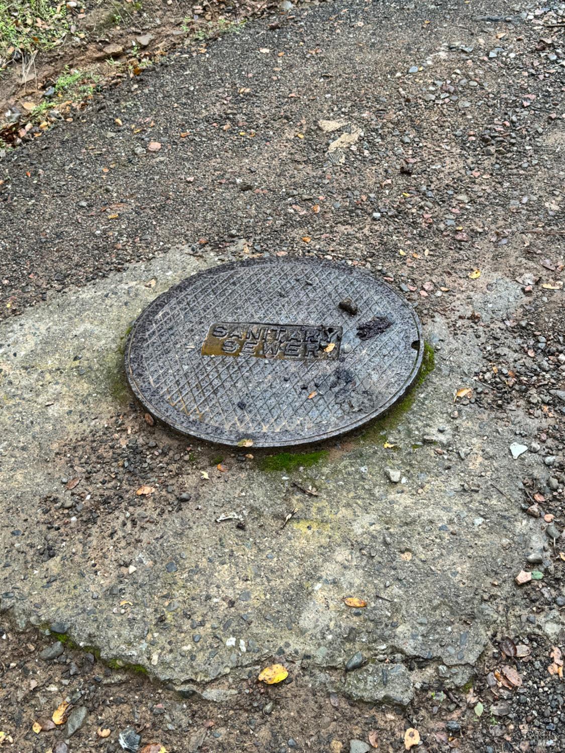 12336 Mountain View Drive