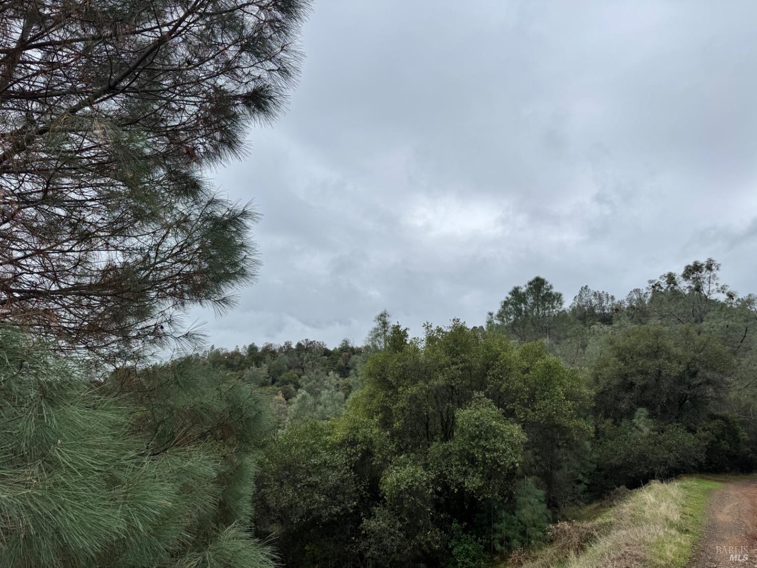 12336 Mountain View Drive