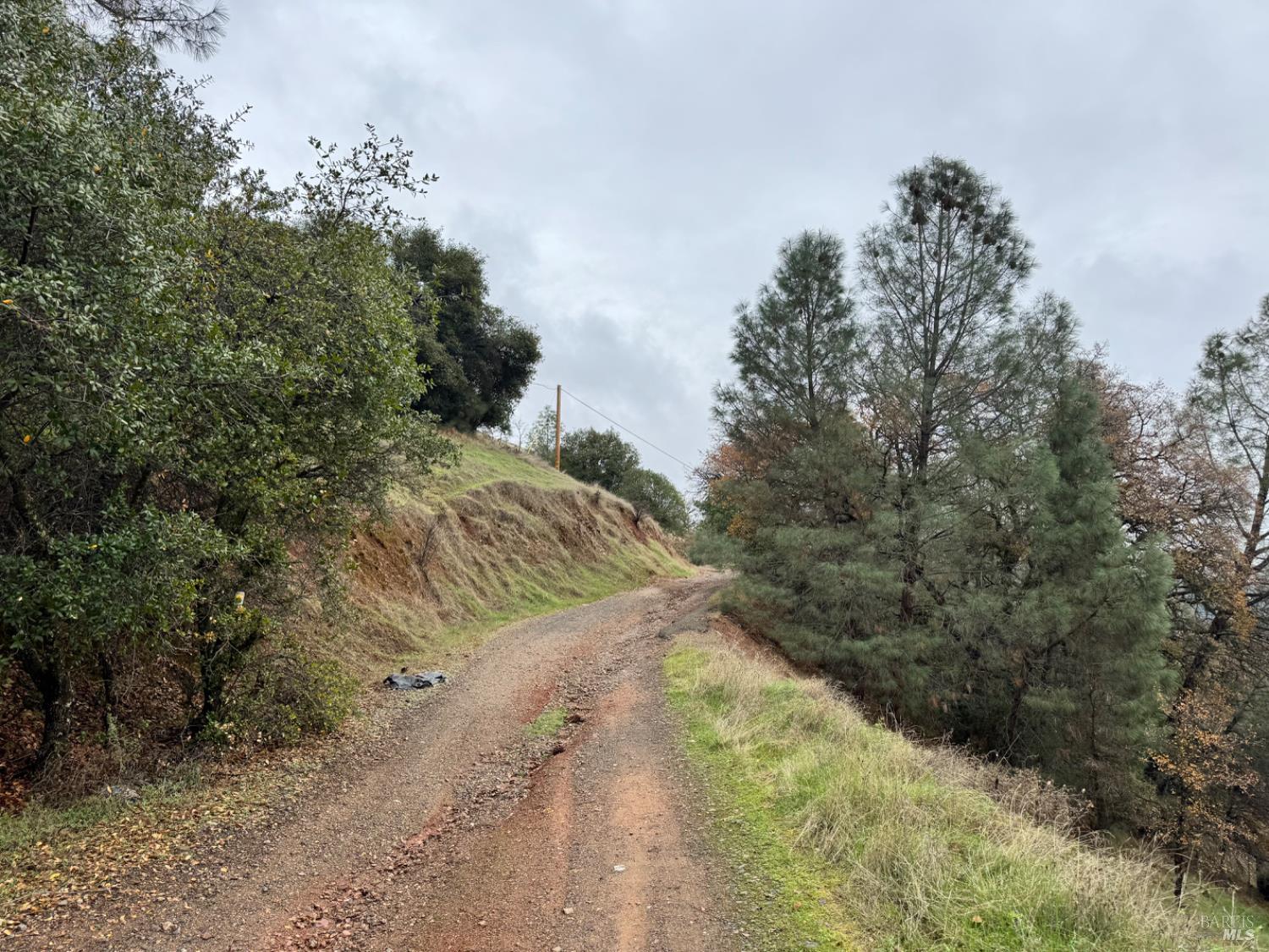 12336 Mountain View Drive