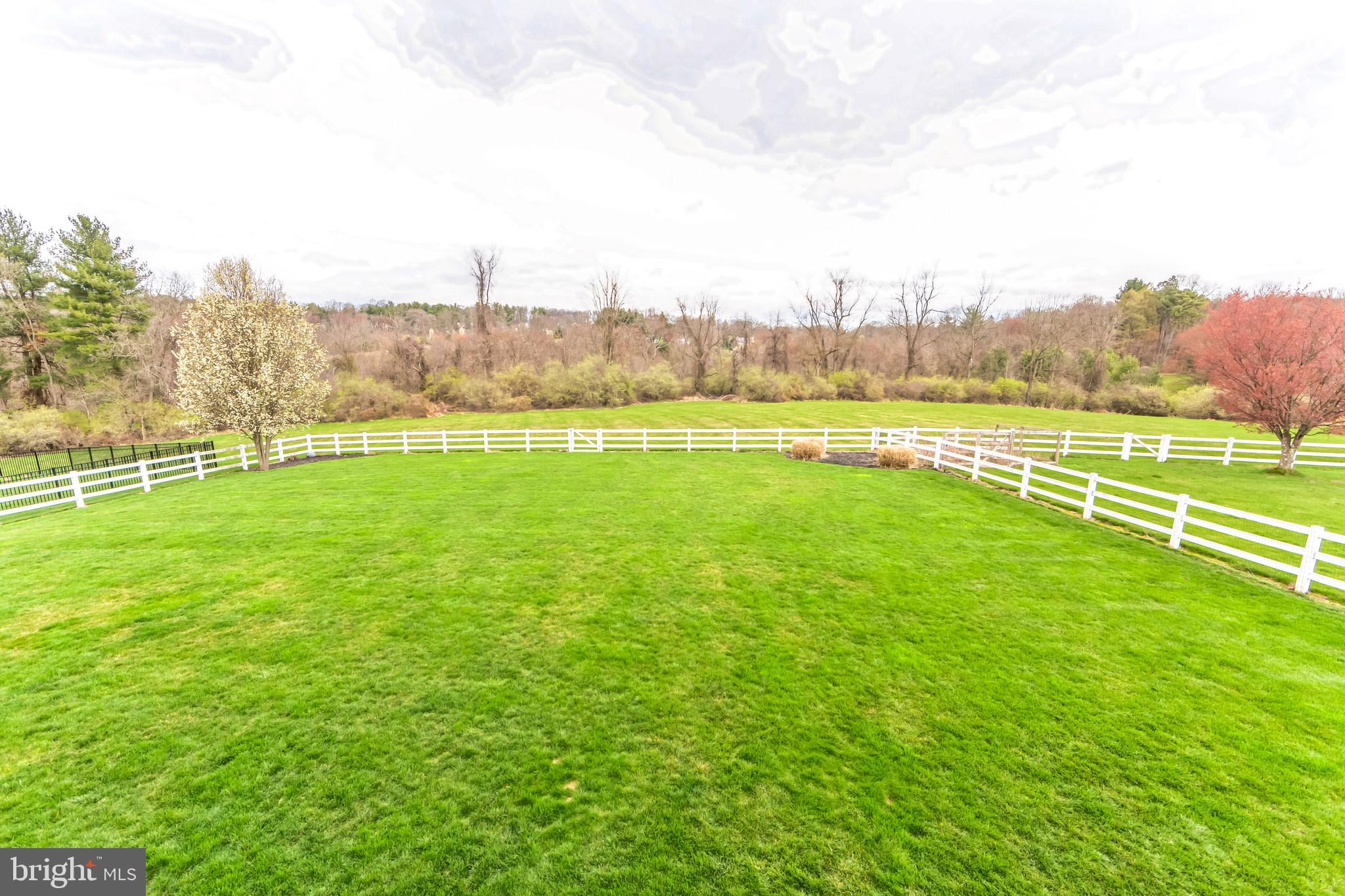 1342 Treeline Dr