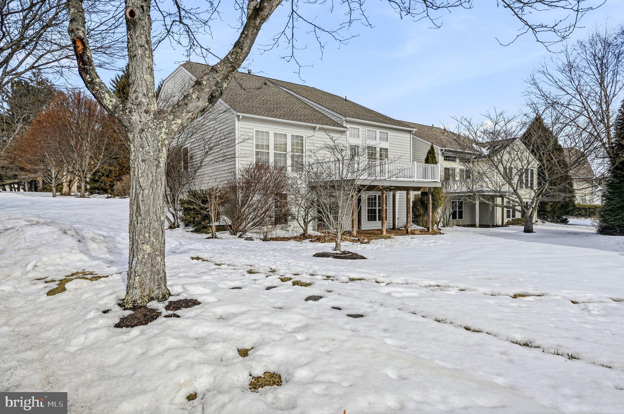101 VIOLET DRIVE