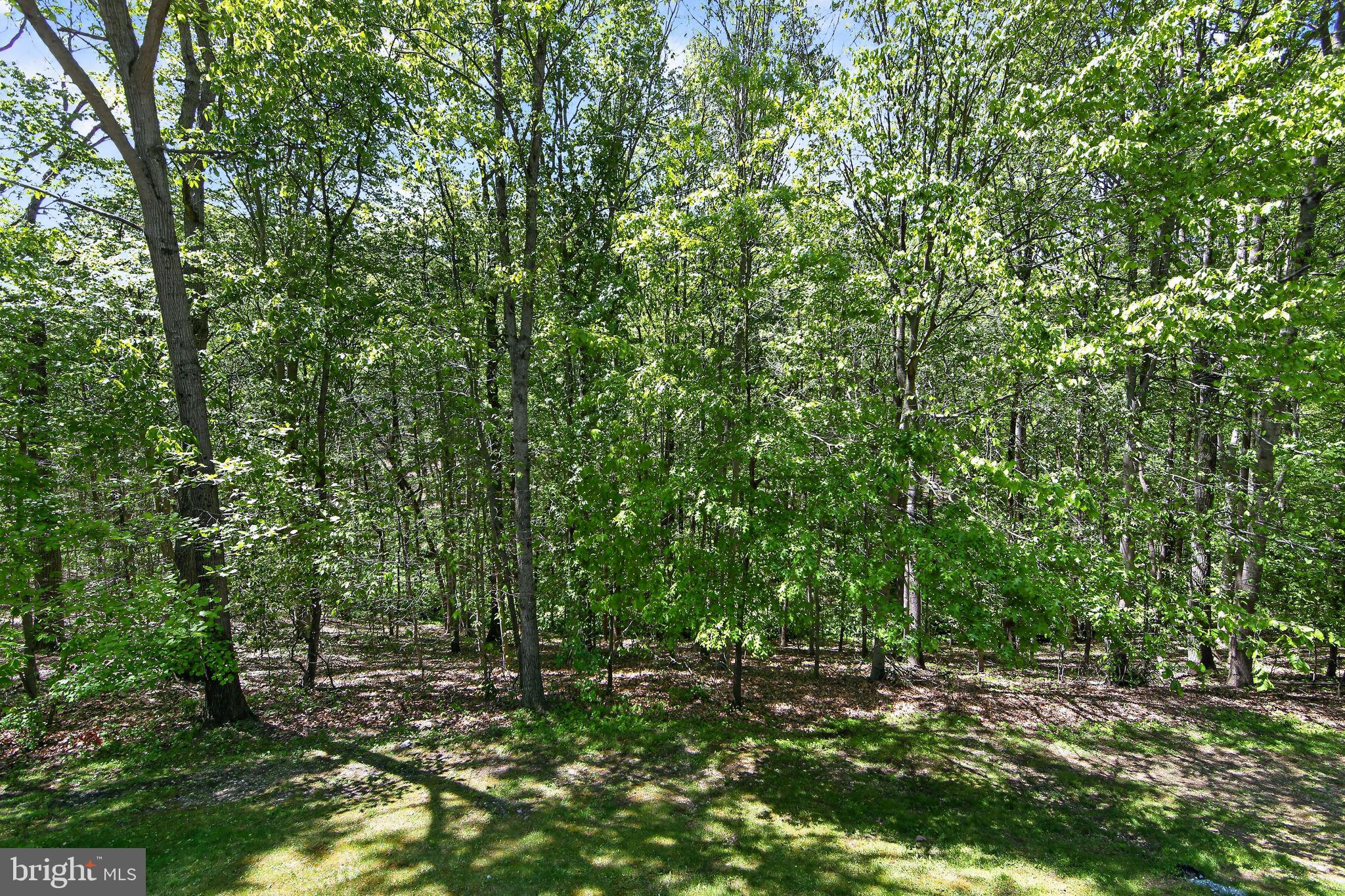 1315 RICHMOND PLACE