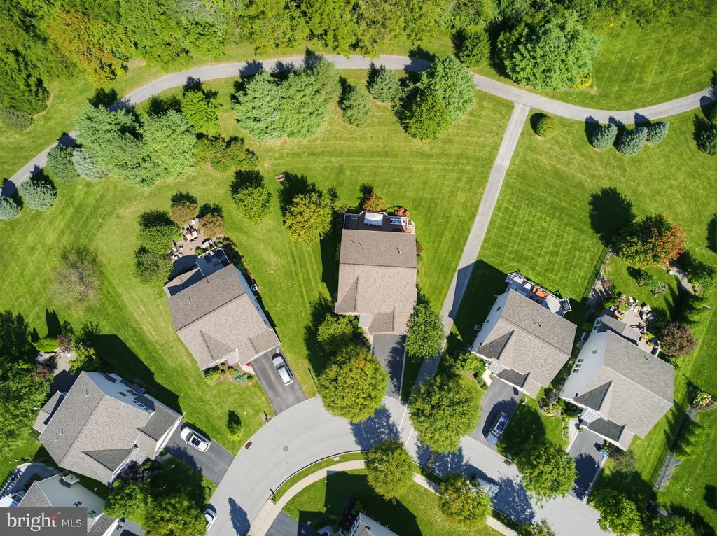 Aerial view of homes and spacious lawns along a tree-lined cul-de-sac.