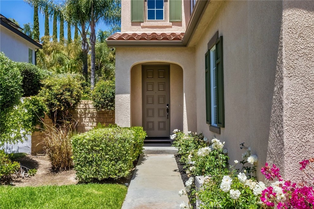 25815 Forsythe Way
