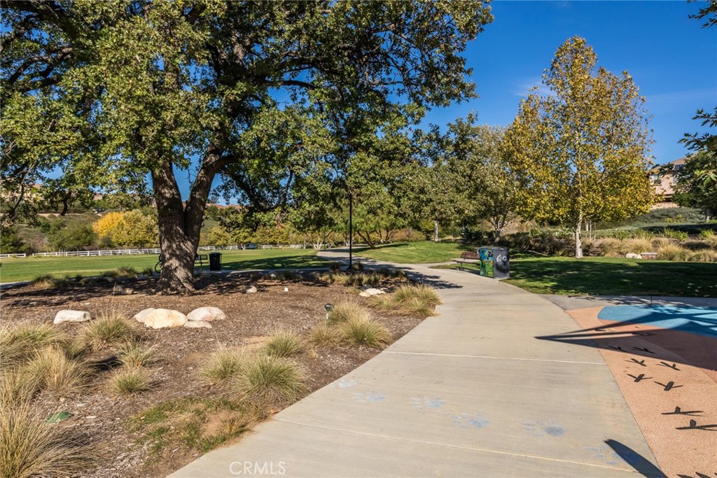 26420 Township Street