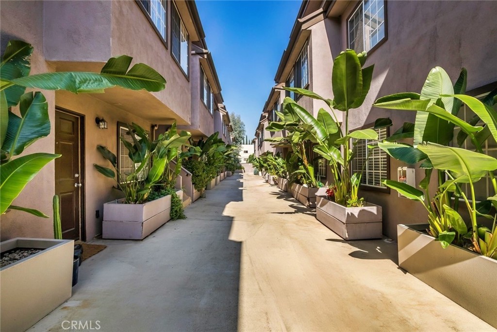 1116 E Palmer Avenue