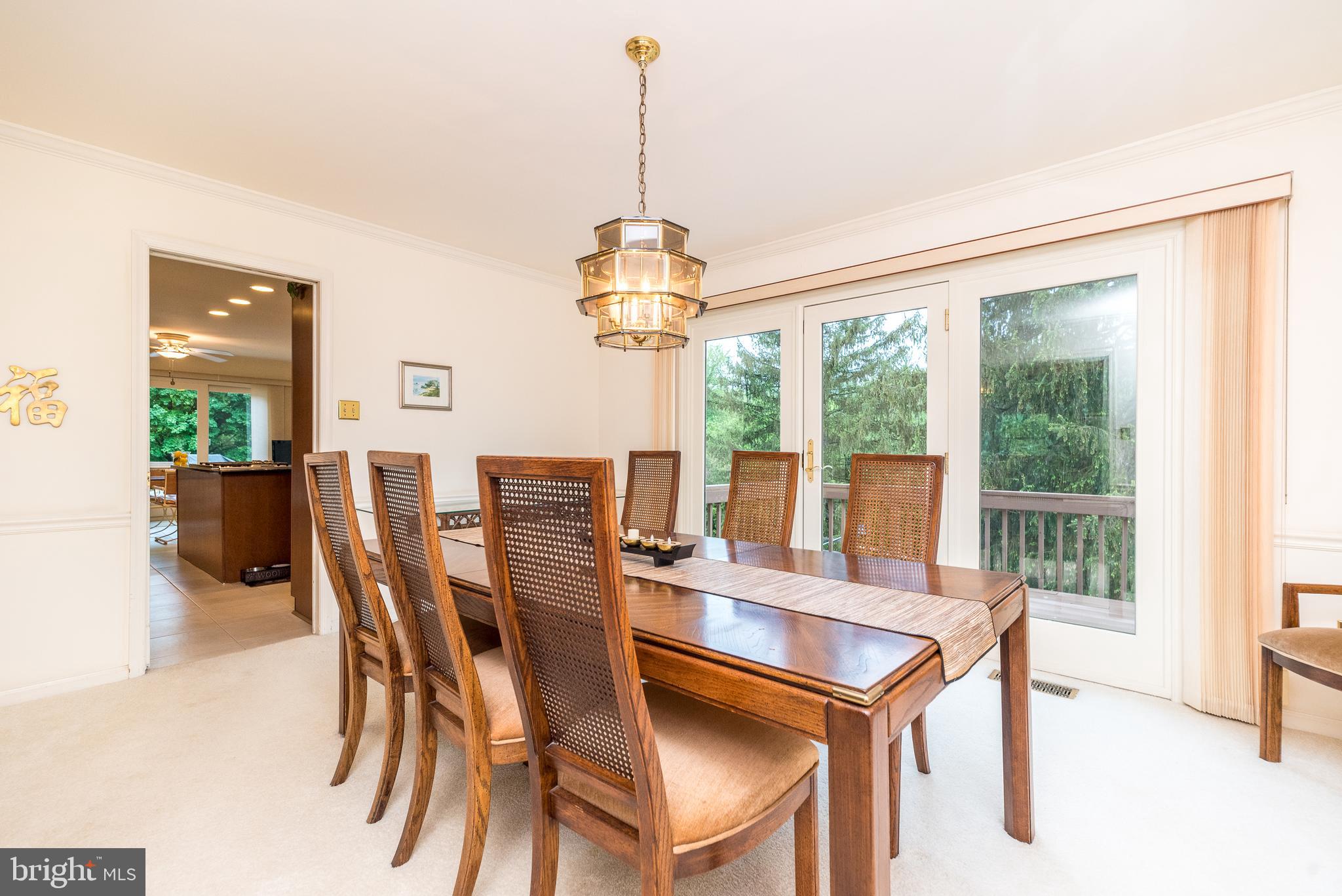 10 Paddock Dr