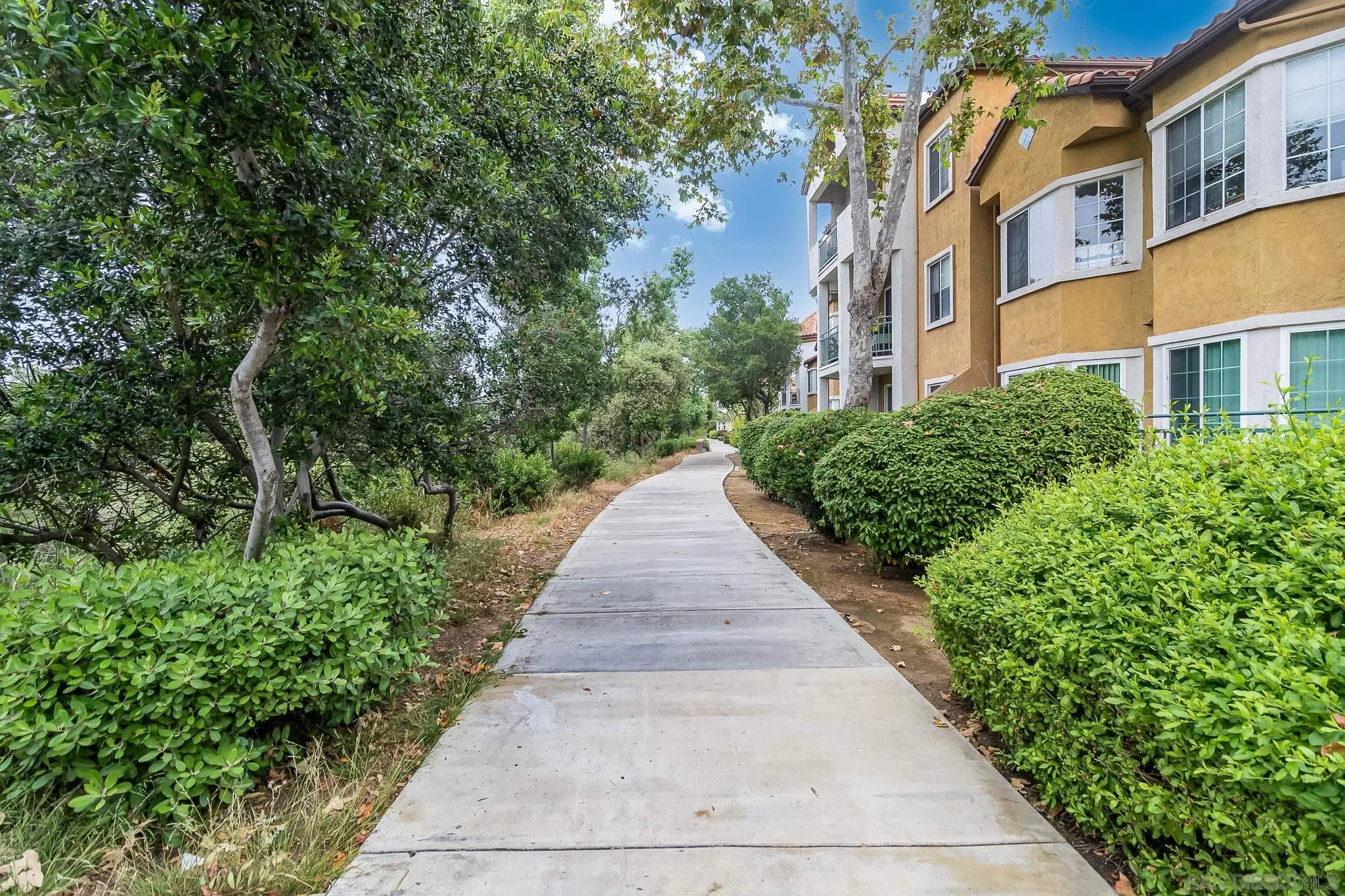 2020 Camino De La Reina # 118