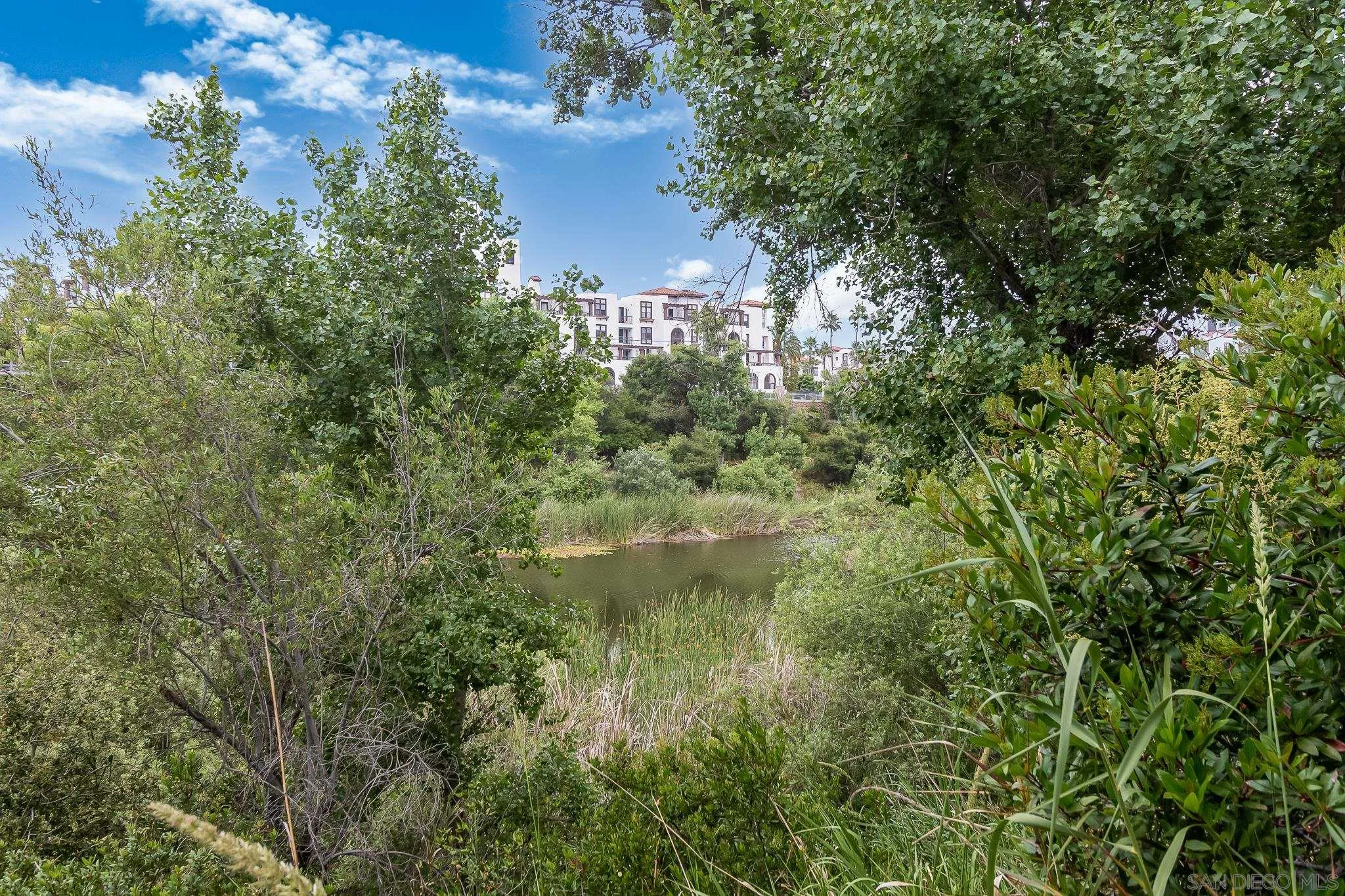 2020 Camino De La Reina # 118