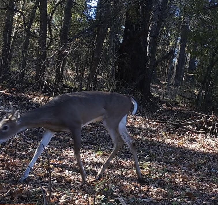 3794 County Road 3070