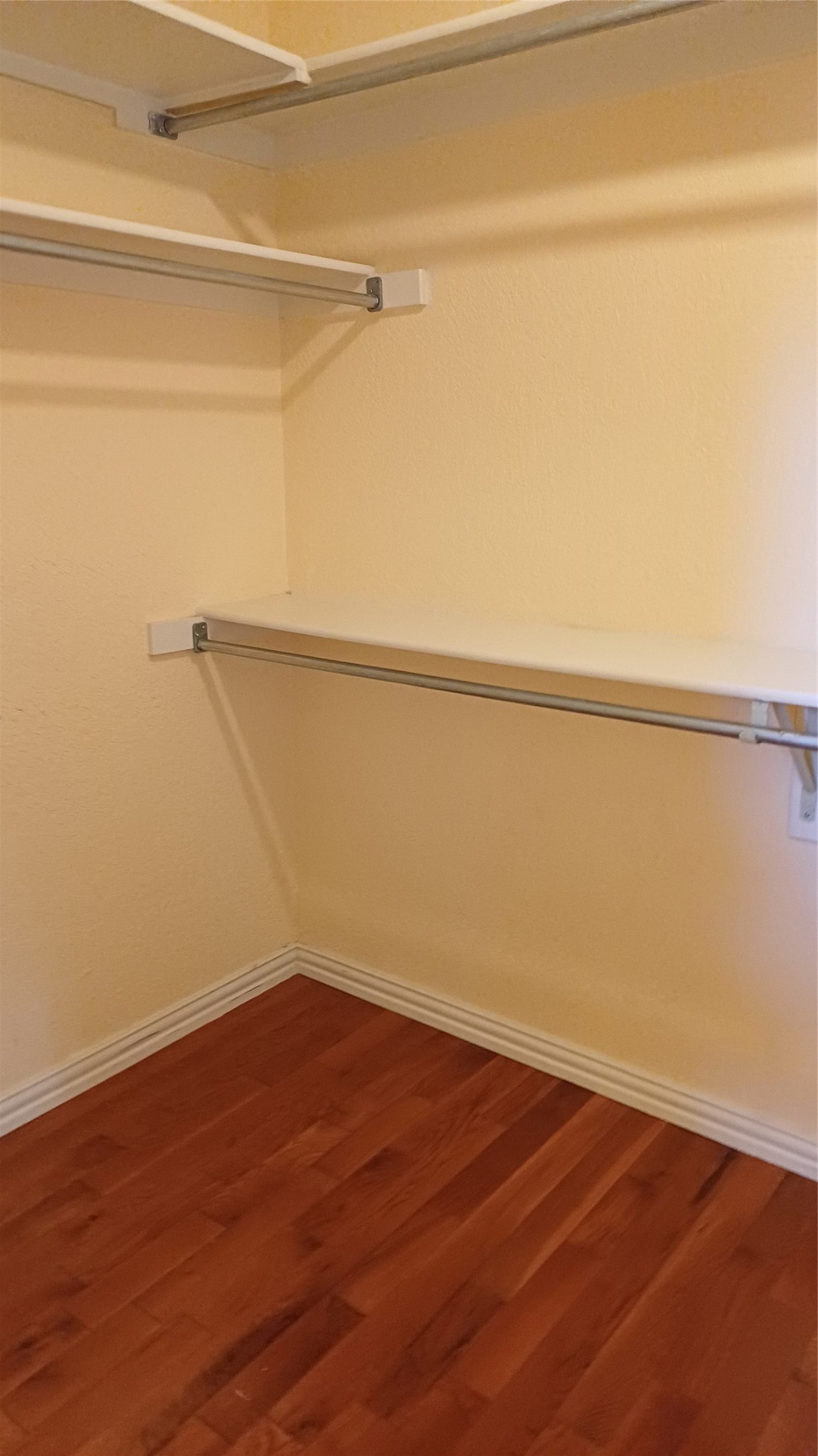 3051 Renaissance Court