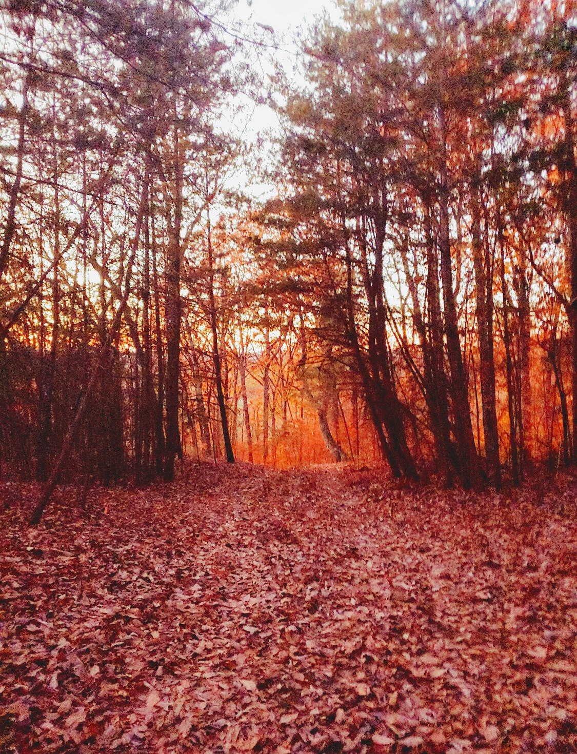 835 Midway Road