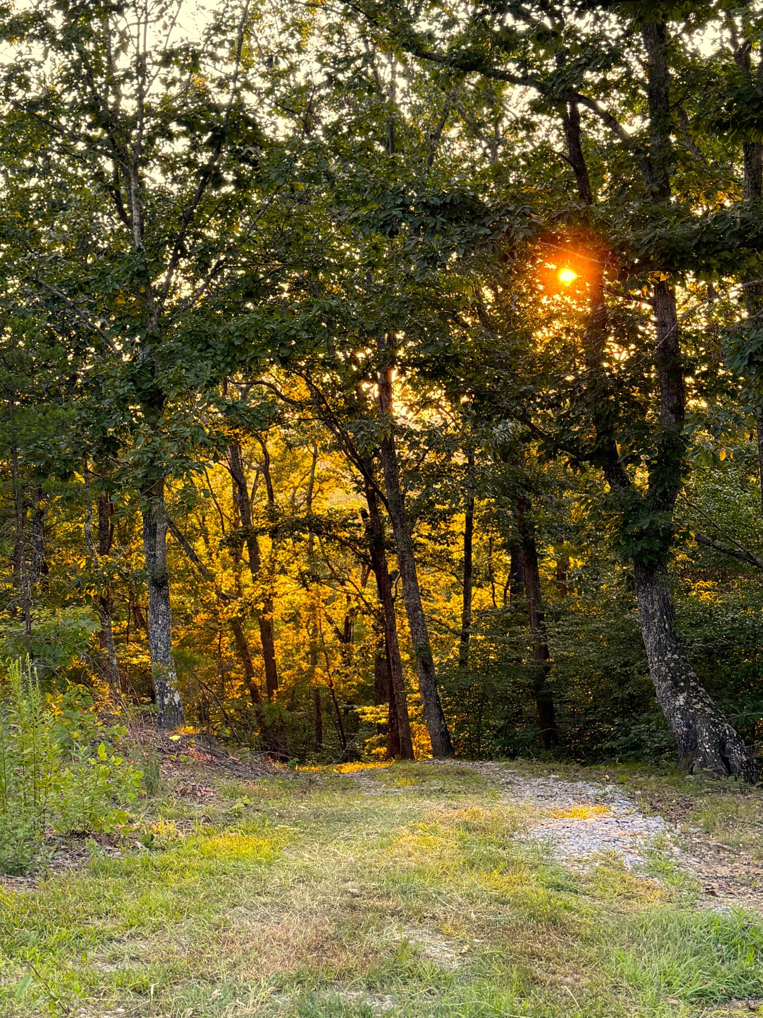 835 Midway Road