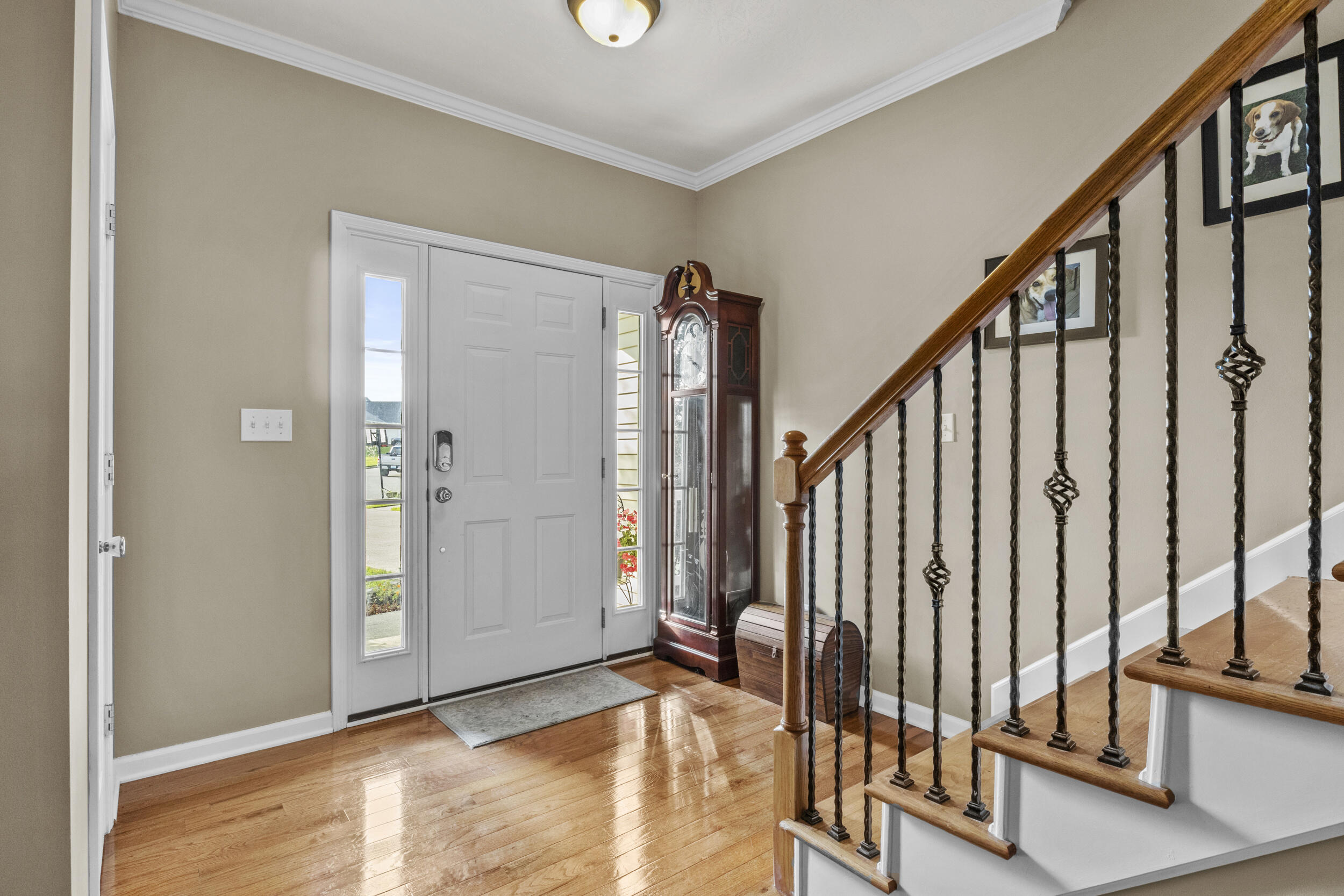 259 Hibiscus Lane