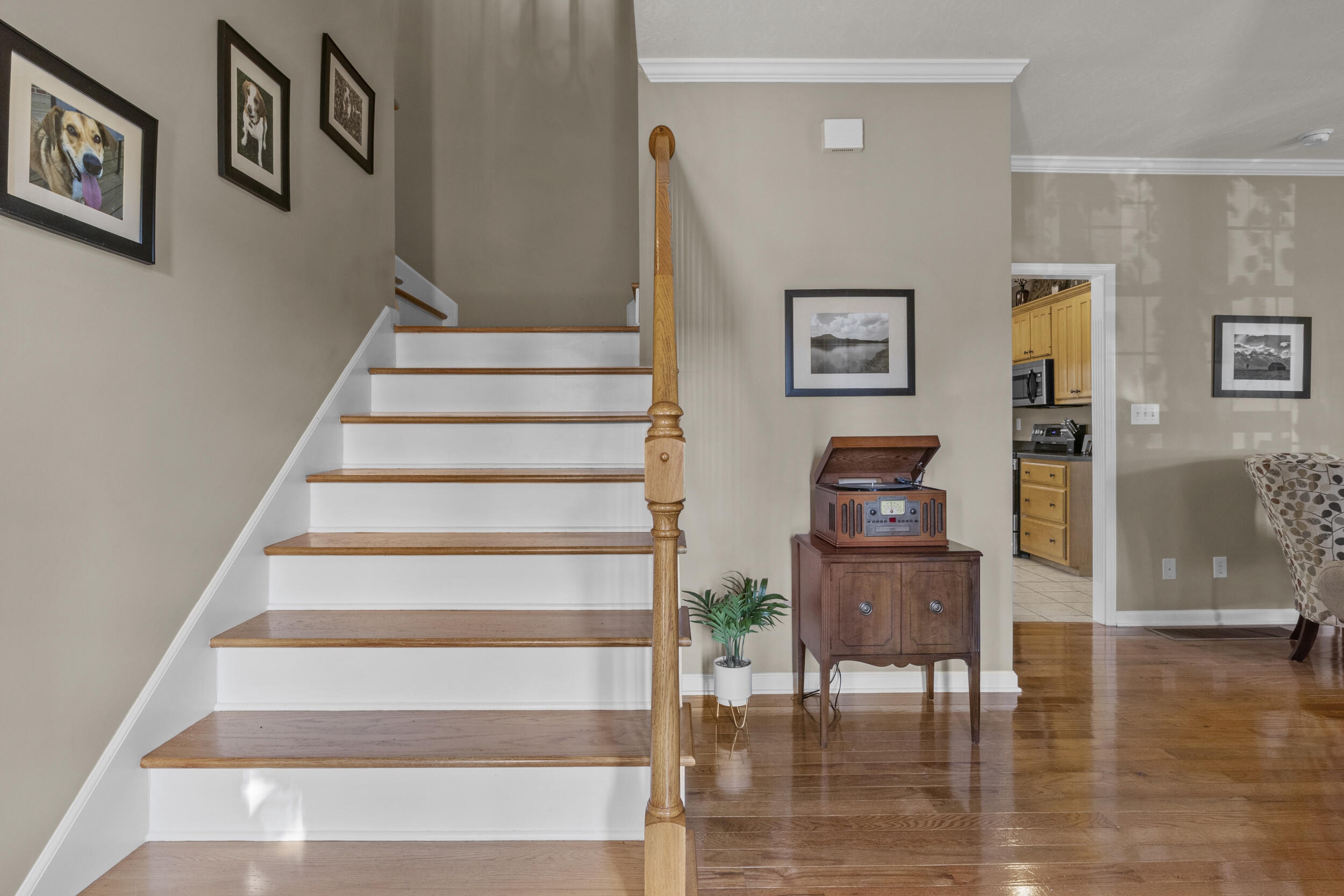 259 Hibiscus Lane