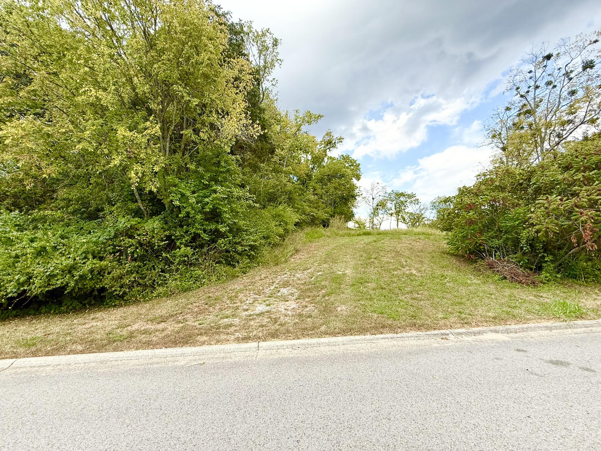 504 Shagbark Trail