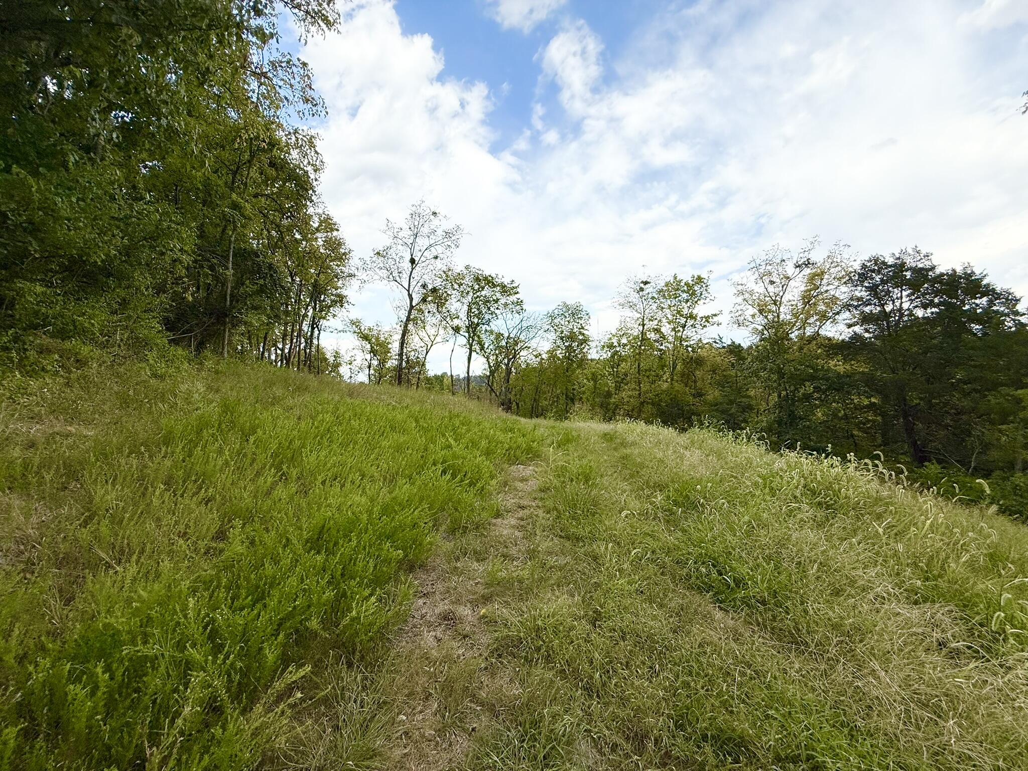 504 Shagbark Trail