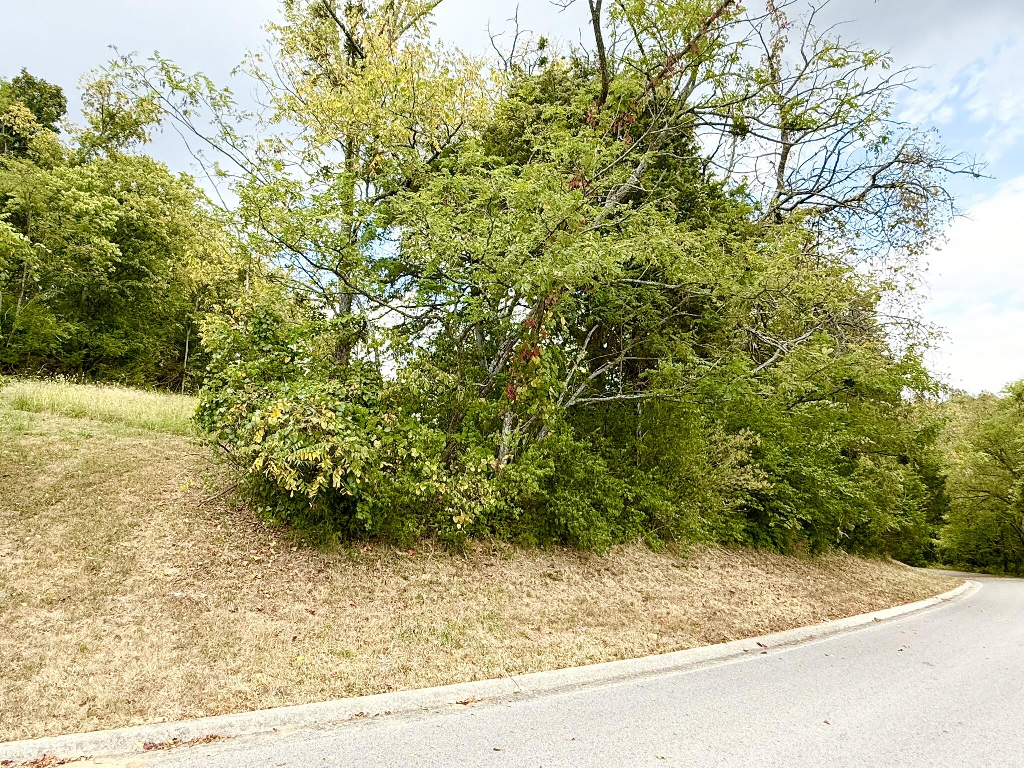 504 Shagbark Trail